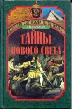 Нерсесов Яков Тайны Нового Света. От древних цивилизаций до Колумба обложка книги