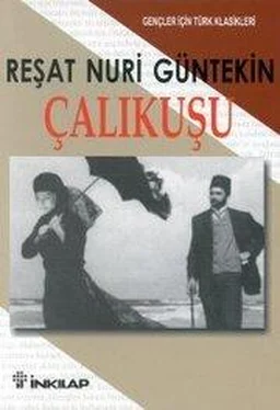 Решад Нури Гюнтекин ÇALIKUŞU обложка книги