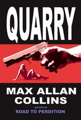 Max Collins - Quarry