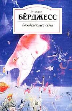 Энтони Берджесс Вожделеющее семя обложка книги