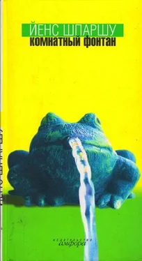 Йенс Шпаршу Комнатный фонтан обложка книги