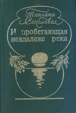 Татьяна Соколова Хрупкое обложка книги
