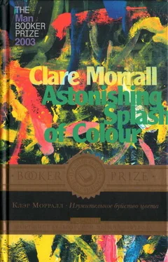 Клэр Морралл Изумительное буйство цвета обложка книги