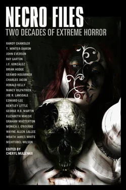 Cheryl Mullenax Necro Files: Two Decades of Extreme Horror обложка книги