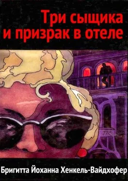 Бригитта Хенкель-Вайдхофер Три сыщика и призрак в отеле обложка книги