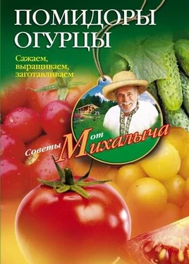 Николай Звонарев Помидоры, огурцы. Сажаем, выращиваем, заготавливаем обложка книги