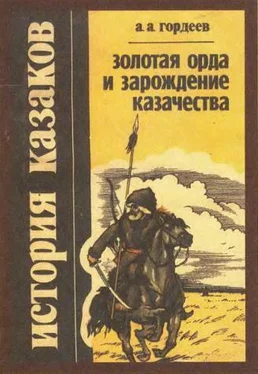 Андрей Гордеев Золотая Орда и зарождение казачества обложка книги