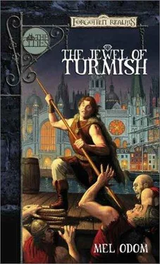 Mel Odom The Jewel of Turmish обложка книги