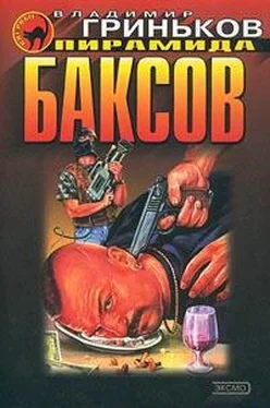 Владимир Гриньков Пирамида баксов обложка книги