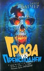Джим Батчер - Гроза из преисподней