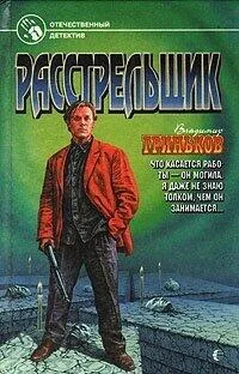 Владимир Гриньков Расстрельщик обложка книги