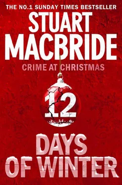 Stuart MacBride Twelve Days of Winter: Crime at Christmas обложка книги