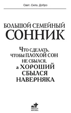 И. Дубилин Большой семейный сонник. Что сделать, чтобы плохой сон не сбылся, а хороший сбылся навернякан обложка книги