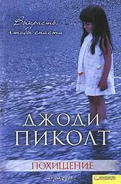 Джоди Пиколт Похищение обложка книги