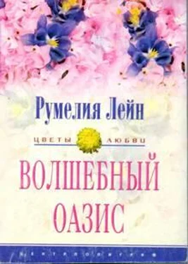 Румелия Лейн Волшебный оазис обложка книги