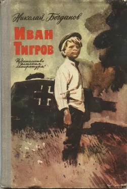 Николай Богданов Иван Тигров (рассказы) обложка книги