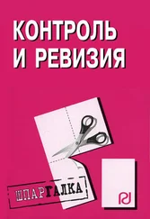 Коллектив авторов - Контроль и ревизия - Шпаргалка