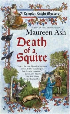 Maureen Ash Death of a Squire обложка книги