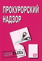 Коллектив авторов - Прокурорский надзор - Шпаргалка