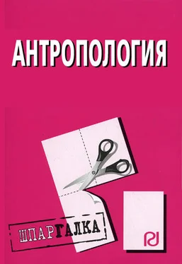 Коллектив авторов Антропология: Шпаргалка обложка книги