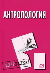Коллектив авторов - Антропология - Шпаргалка