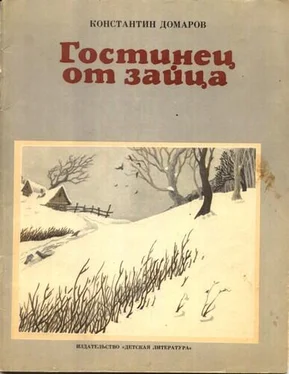 Константин Домаров Гостинец от зайца (рассказы) обложка книги