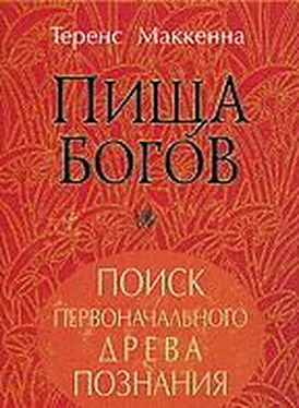 Теренс Маккенна ПИЩА БОГОВ обложка книги