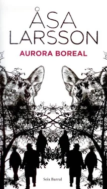 Åsa Larsson Aurora boreal обложка книги