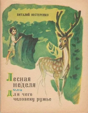 Виталий Нестеренко Лесная неделя, или Для чего человеку ружье обложка книги