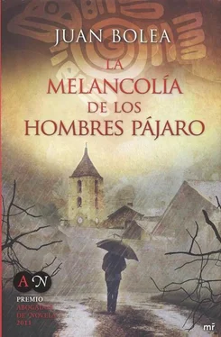 Juan Bolea La melancolía de los hombres pájaro обложка книги