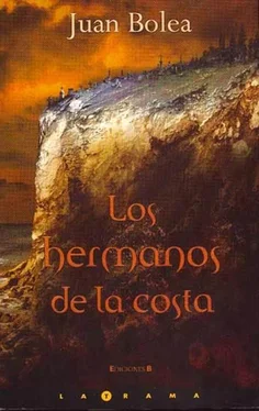 Juan Bolea Los hermanos de la costa обложка книги