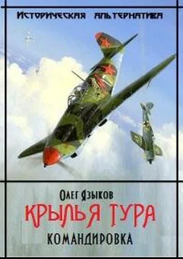 Олег Языков Крылья Тура. Командировка [2 том полностью] обложка книги