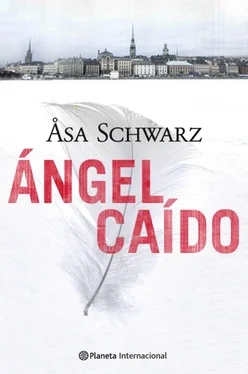 Åsa Schwarz Ángel caído обложка книги