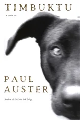 Paul Auster - Timbuktu