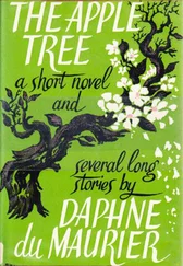 Daphne du Maurier - The Apple Tree - a short novel &amp; several long stories