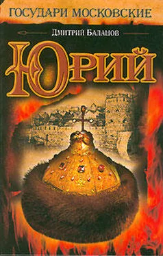 Дмитрий Балашов Юрий (незаконченный роман) обложка книги