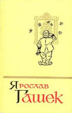 Ярослав Гашек Солитер княгини обложка книги