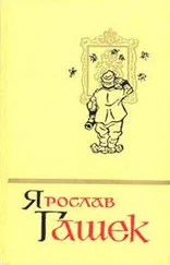 Ярослав Гашек - Солитер княгини