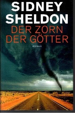 Sidney Sheldon Der Zorn der Götter обложка книги