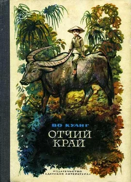 Во Куанг Отчий край обложка книги