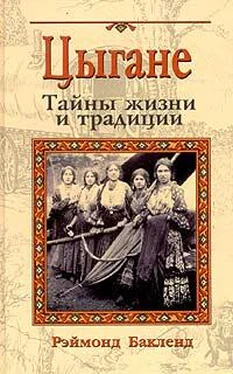 Рэймонд Бакленд Цыгане. Тайны жизни и традиции обложка книги