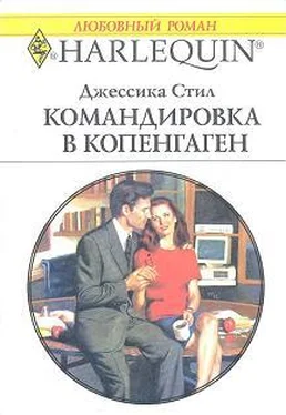 Джессика Стил Командировка в Копенгаген обложка книги