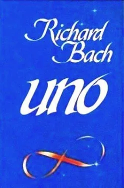 Richard Bach Uno обложка книги
