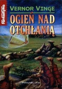 Vernor Vinge Ogień nad otchłanią обложка книги