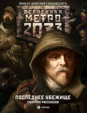 Дмитрий Глуховский Метро 2033: Последнее убежище (сборник) обложка книги