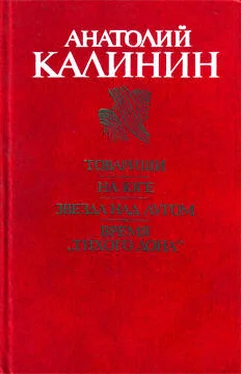 Анатолий Калинин Товарищи обложка книги