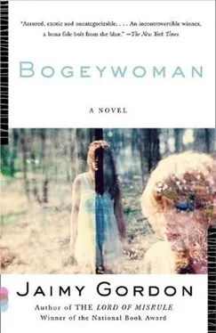 Jaimy Gordon Bogeywoman обложка книги