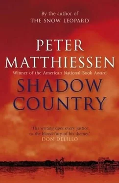 Peter Matthiessen Shadow Country обложка книги