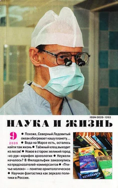 Ярослав Кудлак Симбиоз обложка книги