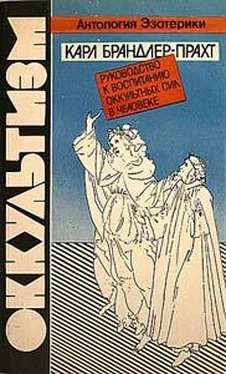 Карл Брандлер-Прахт Оккультизм. Руководство к воспитанию оккультных сил в человеке обложка книги